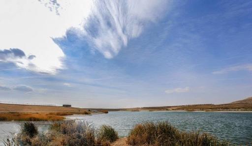 عکس شیرین سو