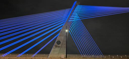 عکس پل کابلی ولیعصر