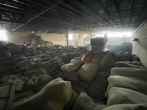 عکس علوفه دام امیدانی