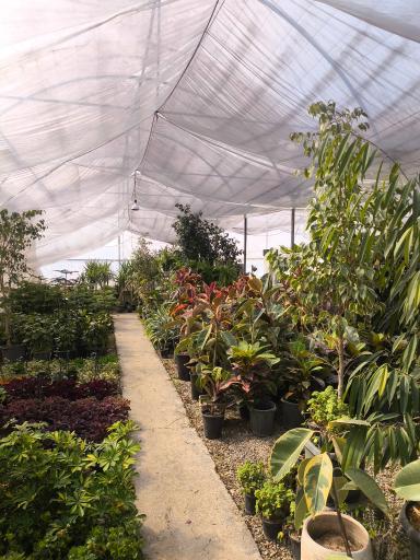 عکس نمایشگاه گل و گیاه حسینی