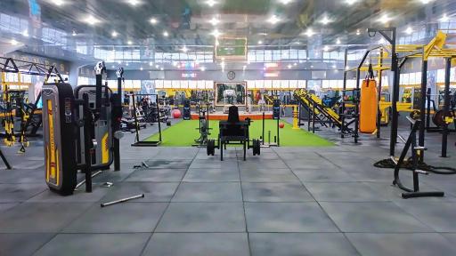 عکس آکادمی فرهنگی ورزشی رکورد 