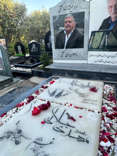 عکس قطعه 255 نام آوران