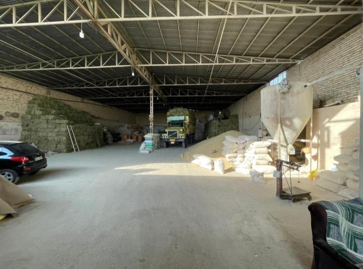 عکس علوفه دام امیدانی