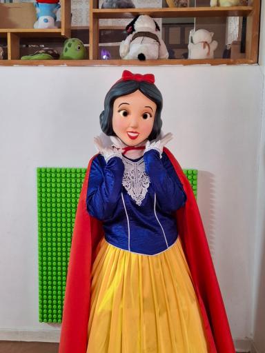 عکس اجاره تنپوش عروسکی