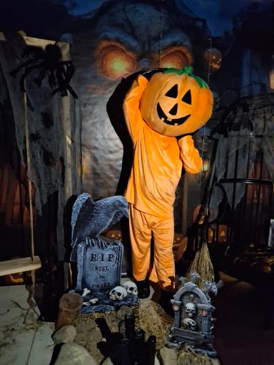 عکس اجاره تنپوش عروسکی