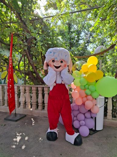 عکس اجاره تنپوش عروسکی