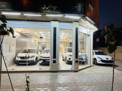 اتوگالری نیکرو خودرو