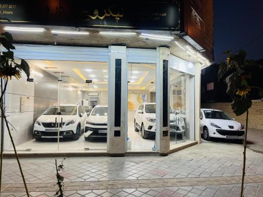 اتوگالری نیکرو خودرو