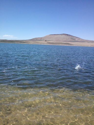 عکس شیرین سو