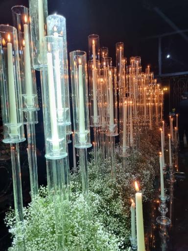 عکس باغ تالار الیت