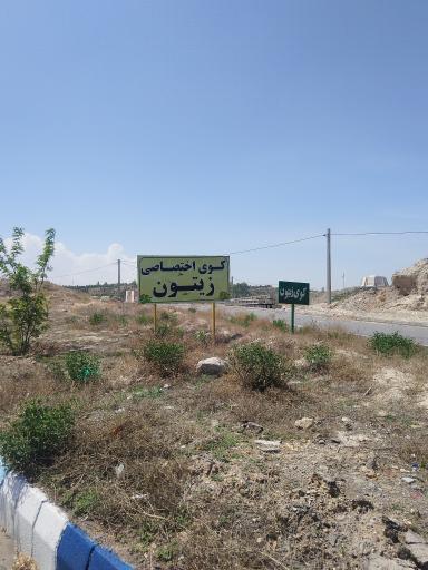 عکس شهرک زیتون