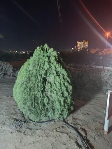 عکس میدان امام هادی