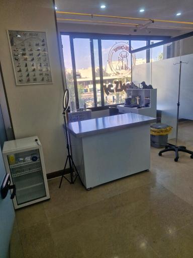 عکس کلینیک دامپزشکی رد کارپت