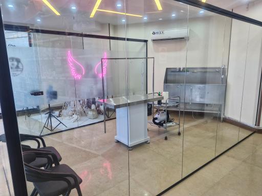 عکس کلینیک دامپزشکی رد کارپت