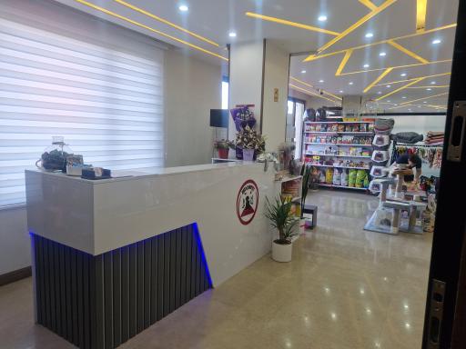 عکس کلینیک دامپزشکی رد کارپت