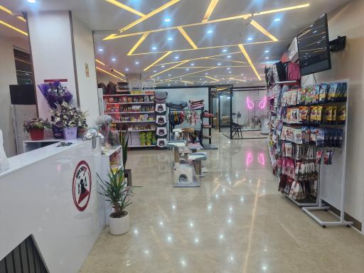 عکس کلینیک دامپزشکی رد کارپت