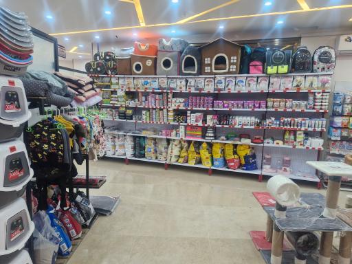 عکس کلینیک دامپزشکی رد کارپت