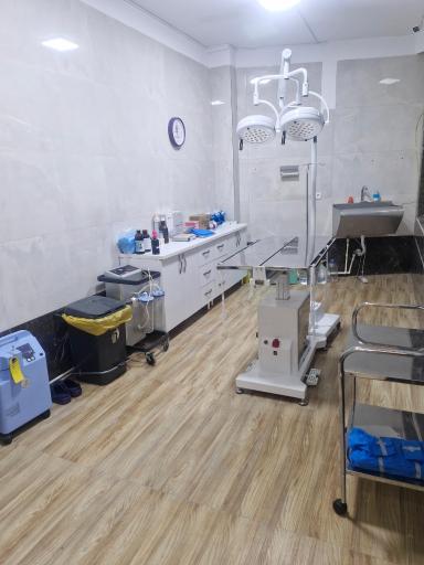 عکس کلینیک دامپزشکی رد کارپت