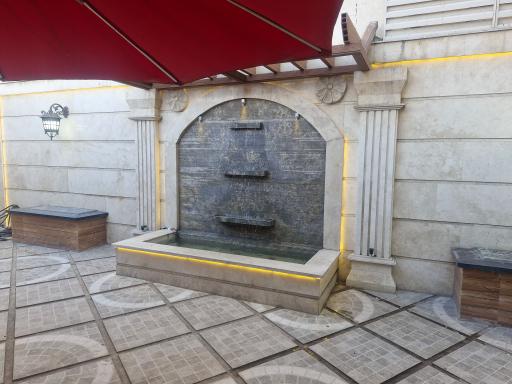 عکس کلینیک دامپزشکی رد کارپت