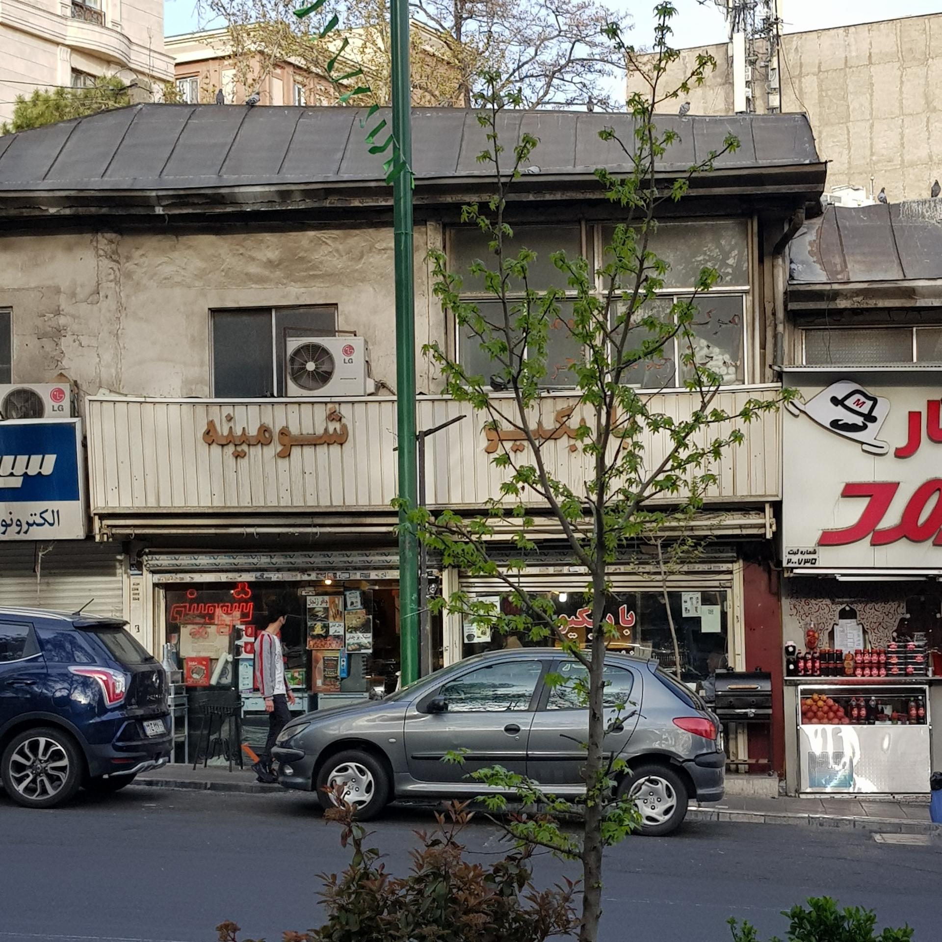 عکس باربکیو شومینه