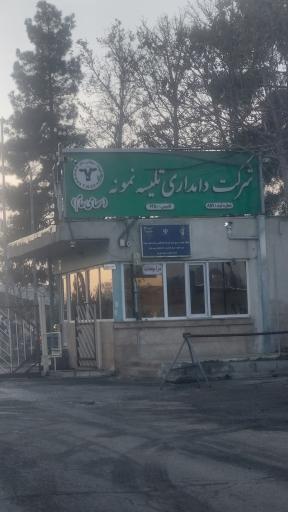 عکس شرکت دامداری تلیسه نمونه