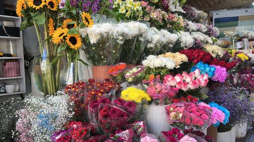 عکس پسرک گلفروش