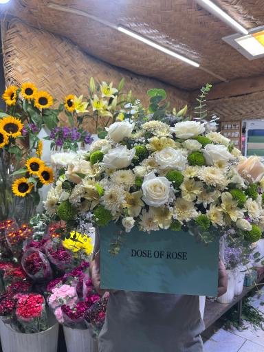 عکس پسرک گلفروش