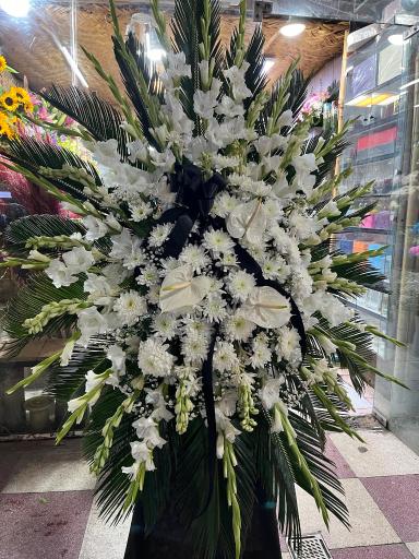 عکس پسرک گلفروش