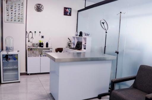 عکس کلینیک دامپزشکی رد کارپت