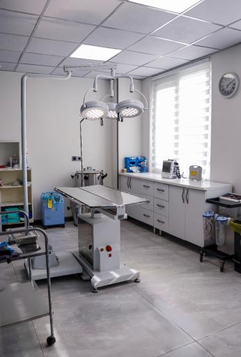 عکس کلینیک دامپزشکی رد کارپت