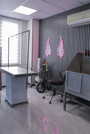 عکس کلینیک دامپزشکی رد کارپت