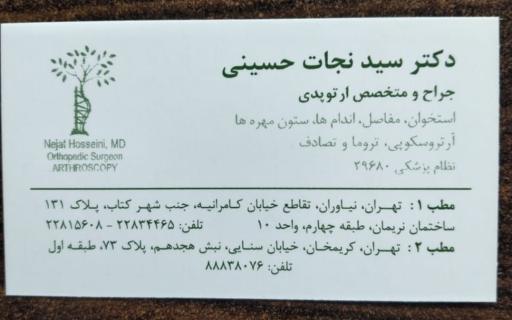 دکتر سید نجات حسینی