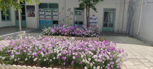 عکس آموزشگاه موسیقی نوای مهر 