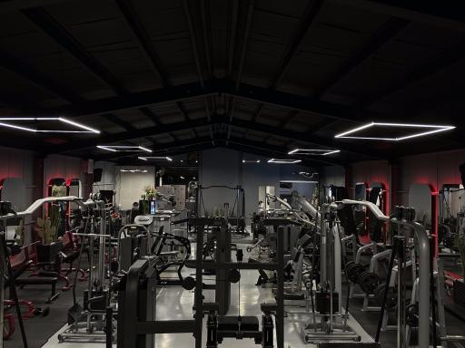 عکس باشگاه بدنسازی اکسید