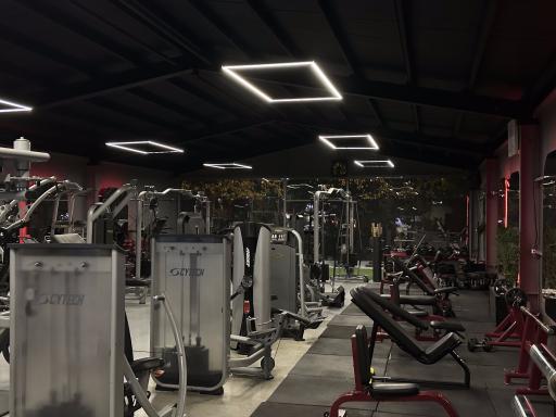 عکس باشگاه بدنسازی اکسید