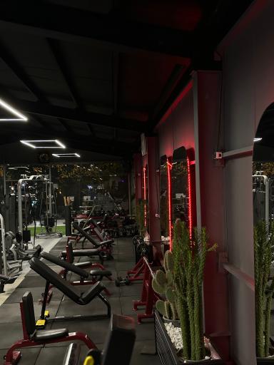 عکس باشگاه بدنسازی اکسید