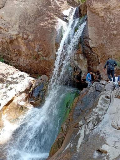 عکس راین