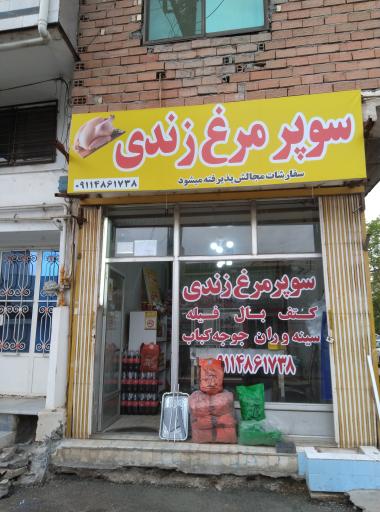 سوپر مرغ زندی 
