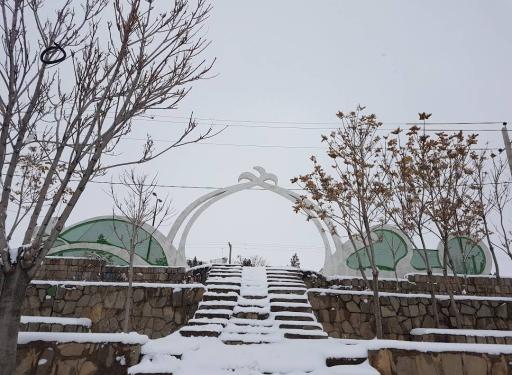 عکس پارک جنگلی