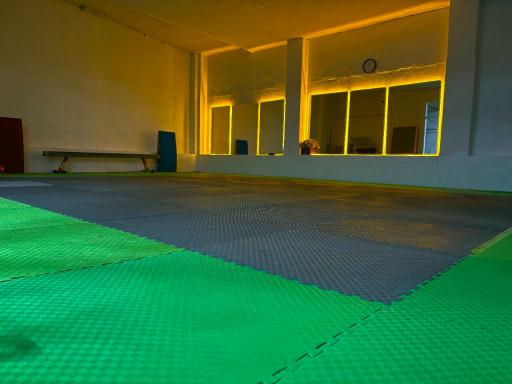 عکس خانه ژیمناستیک پیروزان