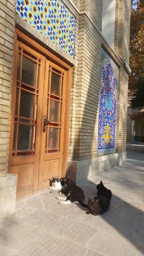 عکس عمارت کاخ گلستان