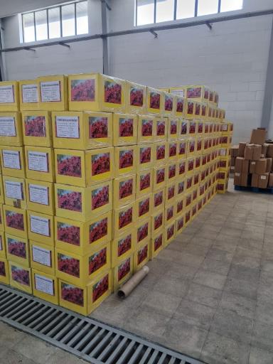 عکس زرشک بارگاه