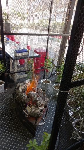 عکس بابی ساندز برگر