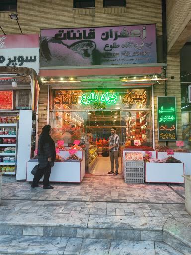 عکس زعفران جواد طلوع