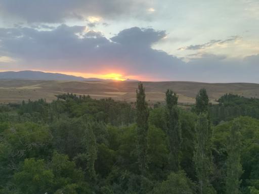 عکس فستق
