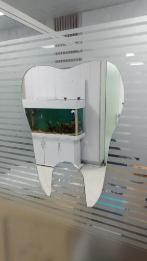 عکس دندانپزشکی صدف