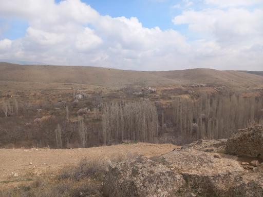 عکس فستق