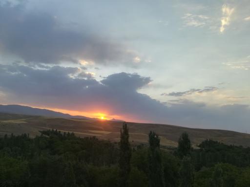 عکس فستق