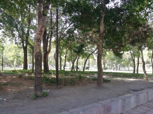 عکس پارک تهلیجان