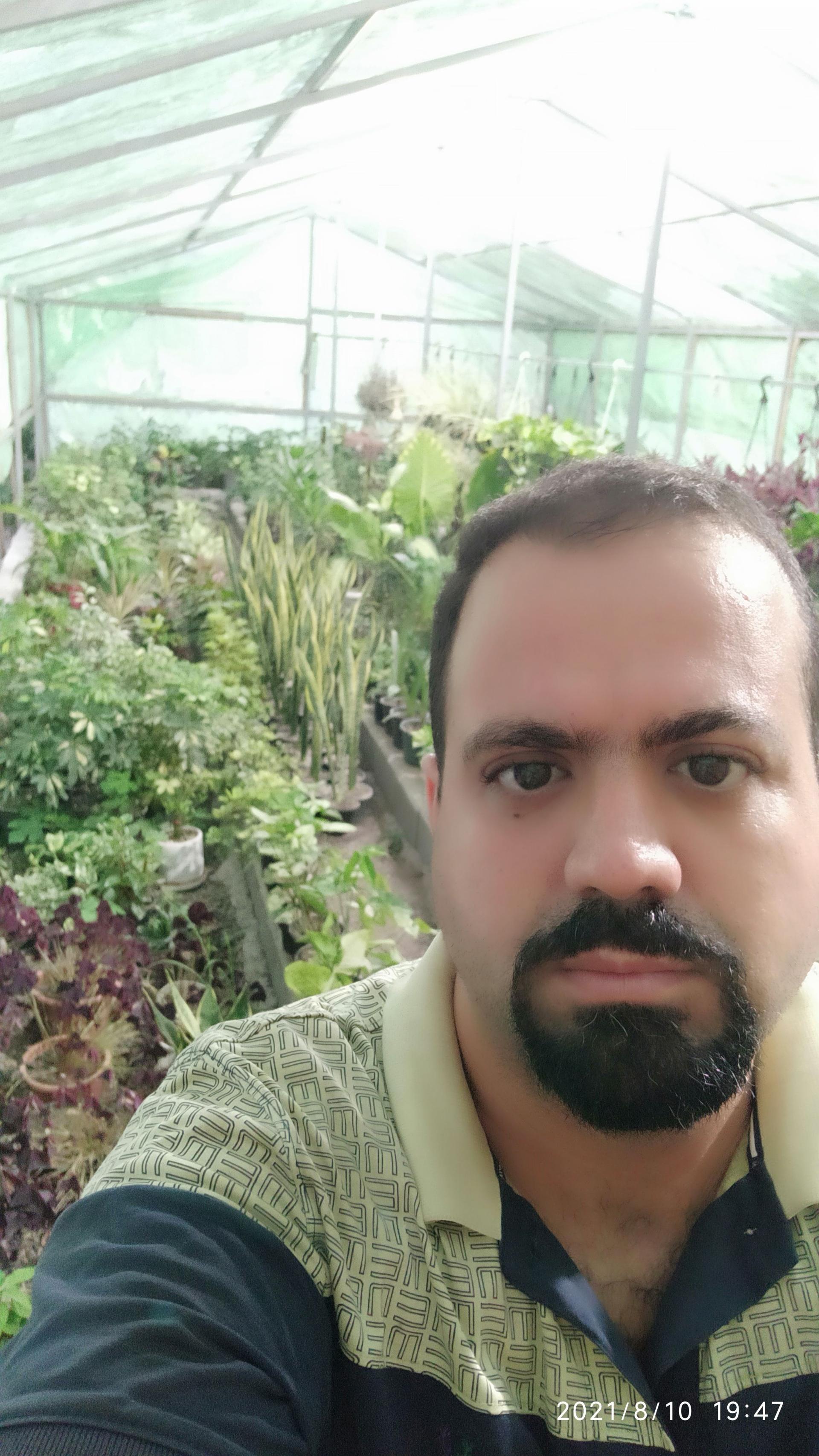 عکس گلخانه امپیشن